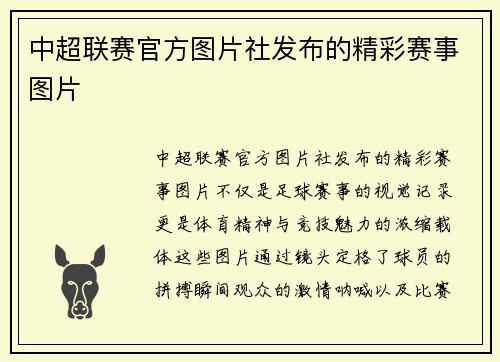 中超联赛官方图片社发布的精彩赛事图片